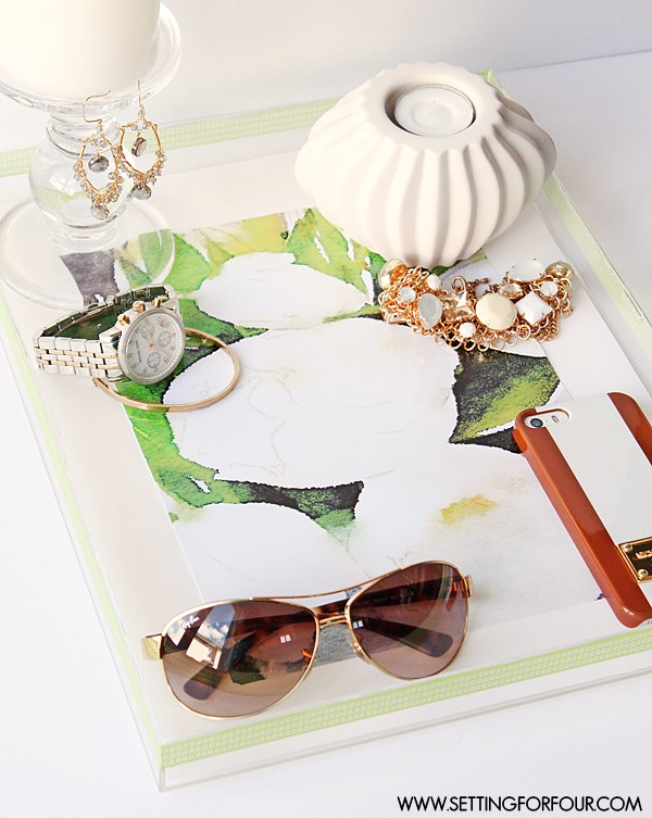 Amazon Lucite Tray at Diana Ashby blog